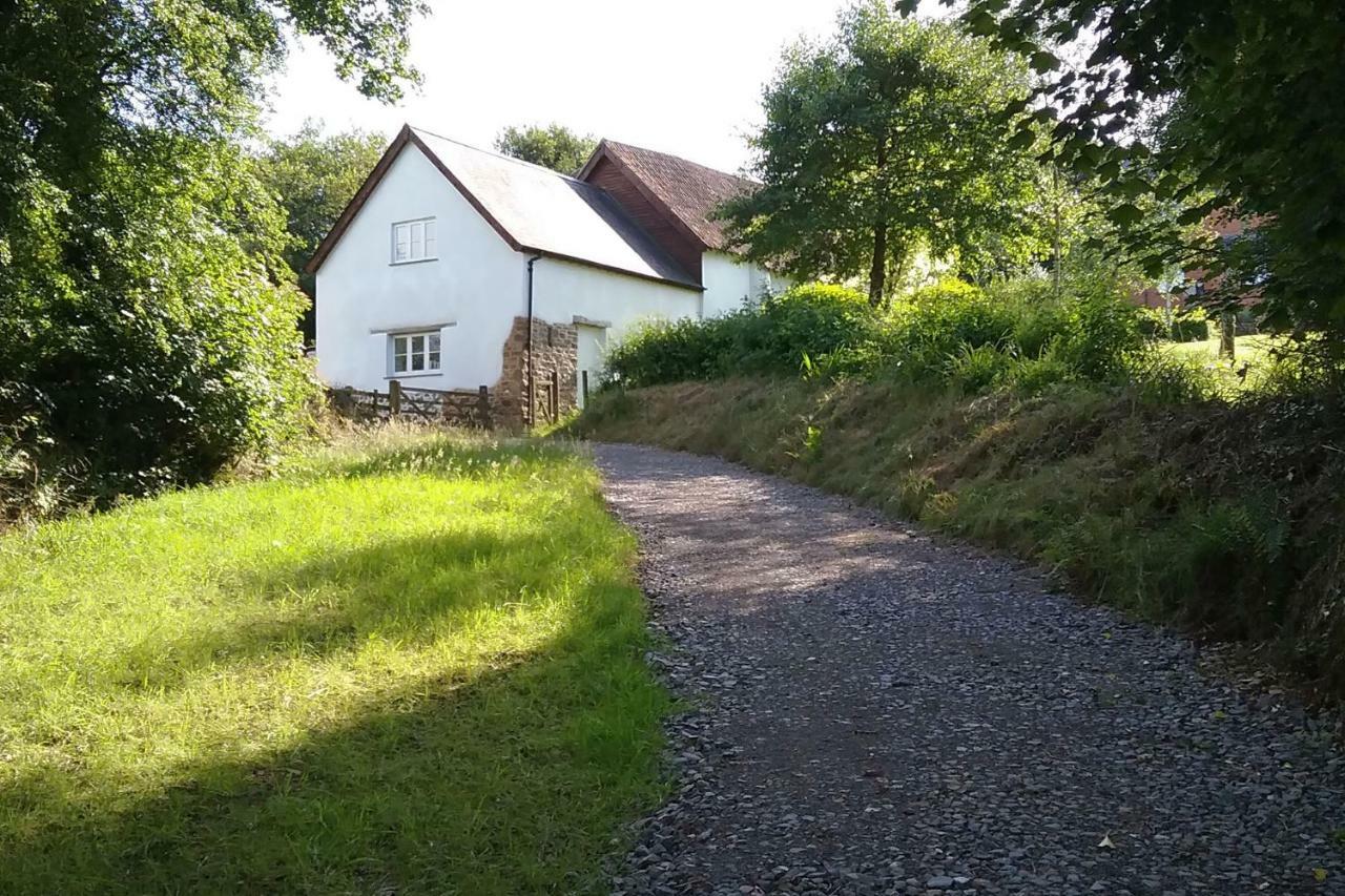 Woodland Cottage South Molton Extérieur photo